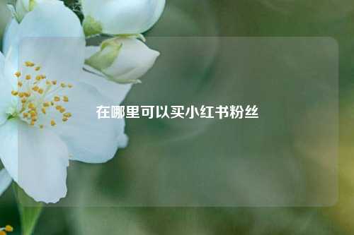 在哪里可以买小红书粉丝  第1张