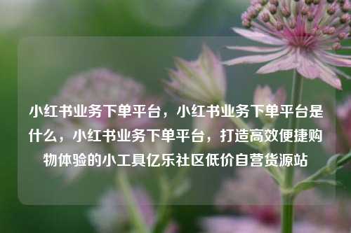 小红书业务下单平台，小红书业务下单平台是什么，小红书业务下单平台，打造高效便捷购物体验的小工具亿乐社区低价自营货源站  第1张