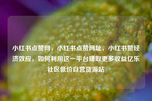 小红书点赞网，小红书点赞网址，小红书赞经济效应	，如何利用这一平台赚取更多收益亿乐社区低价自营货源站  第1张