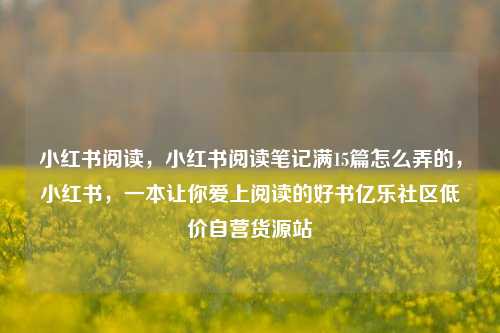 小红书阅读，小红书阅读笔记满15篇怎么弄的	，小红书，一本让你爱上阅读的好书亿乐社区低价自营货源站  第1张