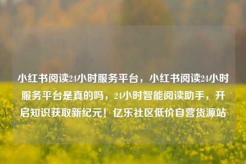 小红书阅读24小时服务平台，小红书阅读24小时服务平台是真的吗，24小时智能阅读助手	，开启知识获取新纪元！亿乐社区低价自营货源站  第1张