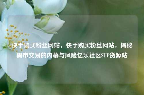 快手购买粉丝网站，快手购买粉丝网站	，揭秘黑市交易的内幕与风险亿乐社区SUP货源站  第1张