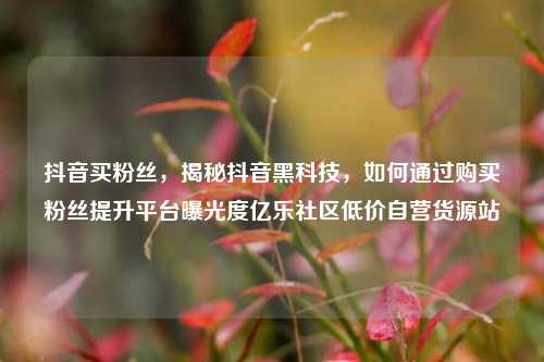 抖音买粉丝，揭秘抖音黑科技	，如何通过购买粉丝提升平台曝光度亿乐社区低价自营货源站  第1张