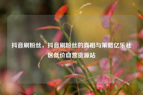 抖音刷粉丝，抖音刷粉丝的真相与策略亿乐社区低价自营货源站  第1张