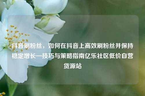 抖音刷粉丝	，如何在抖音上高效刷粉丝并保持稳定增长—技巧与策略指南亿乐社区低价自营货源站  第1张
