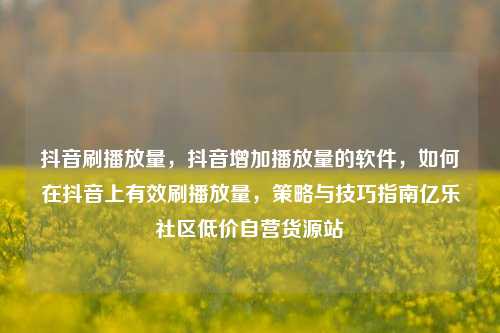 抖音刷播放量，抖音增加播放量的软件，如何在抖音上有效刷播放量	，策略与技巧指南亿乐社区低价自营货源站  第1张