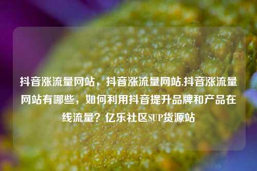 抖音涨流量网站，抖音涨流量网站,抖音涨流量网站有哪些，如何利用抖音提升品牌和产品在线流量？亿乐社区SUP货源站  第1张