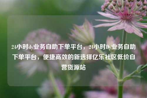 24小时dy业务自助下单平台，24小时Dy业务自助下单平台	，便捷高效的新选择亿乐社区低价自营货源站  第1张