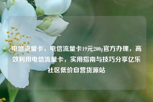 电信流量卡，电信流量卡19元200g官方办理	，高效利用电信流量卡，实用指南与技巧分享亿乐社区低价自营货源站  第1张