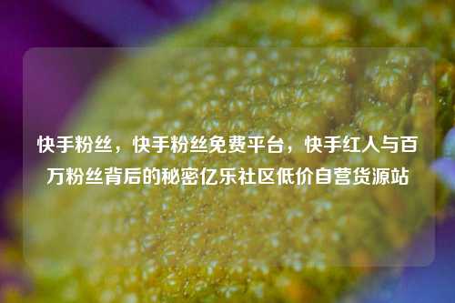 快手粉丝	，快手粉丝免费平台，快手红人与百万粉丝背后的秘密亿乐社区低价自营货源站  第1张