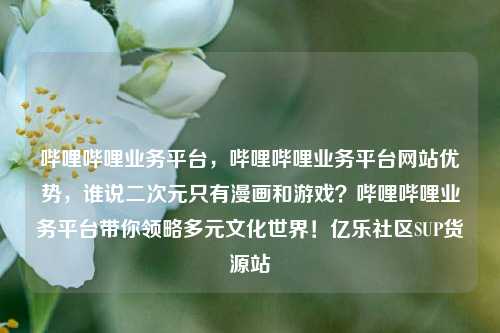 哔哩哔哩业务平台，哔哩哔哩业务平台网站优势，谁说二次元只有漫画和游戏？哔哩哔哩业务平台带你领略多元文化世界！亿乐社区SUP货源站  第1张