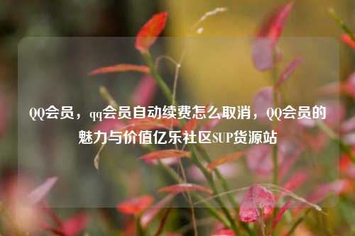 QQ会员，qq会员自动续费怎么取消	，QQ会员的魅力与价值亿乐社区SUP货源站  第1张