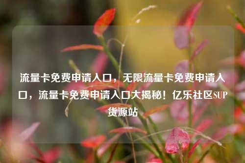流量卡免费申请入口，无限流量卡免费申请入口，流量卡免费申请入口大揭秘！亿乐社区SUP货源站  第1张